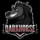 Dark Horse 战队