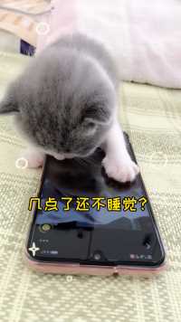 几点了，还不睡觉💤