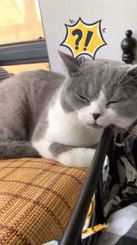 你是想把我弄秃吗？