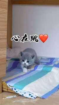 蓝胖子果然名不虚传，小时候呆萌，大了蠢萌😂