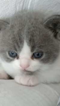 没人陪我玩，不开心🙁