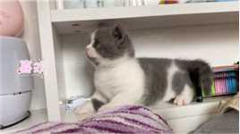 从小就这么萌，让人爱不释手，真希望时间能定格