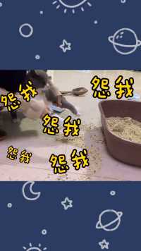 到底是谁弄的？是不是你！