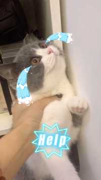 这辈子遇到我，你就别想跑了～