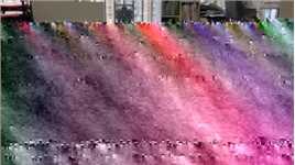 大战即将开始，究竟谁才能胜利？#萌宠 