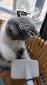 感谢有趣的你给我投票，帮助TA在比赛中更进一步