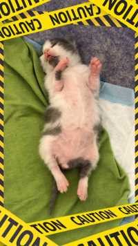 这个抖腿我给满分