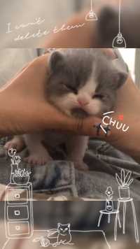 你怎么这么可爱！