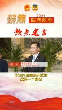 陕西省政协委员姜波：充分发挥陕西自贸试验区优势 建设更高水平开放型经济。