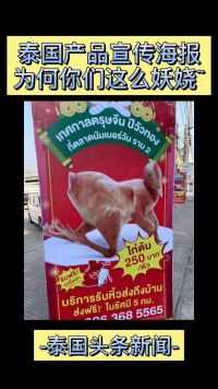 泰国商家的最新宣传海报，动物们集体变妖娆~