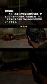 这种镜头居然是实拍的