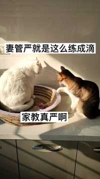 妻管严就是这么练成滴  