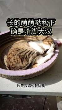 长的萌萌滴私下确是啃脚大汉  