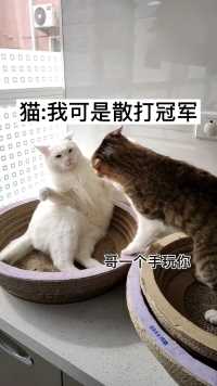 以为是王者谁知是青铜  