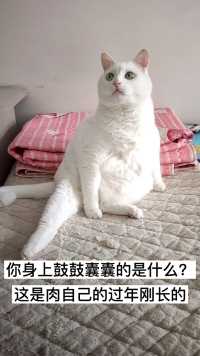 这么可爱的宝贝不想拥有一只吗？  