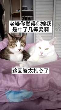 这回答太扎心了  