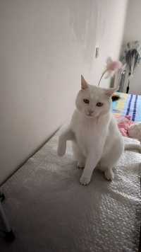 自己把自己逗傻了  