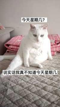 不看手机我也不知道今天星期几了？  