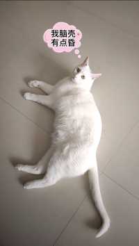 像不像春节开班后的你  