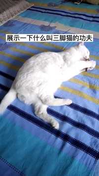 展示一下什么叫做三脚猫功夫  