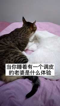 当你有一个调皮女朋友是什么体验  