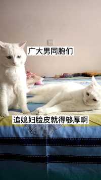 追媳妇脸皮就得厚点啊  