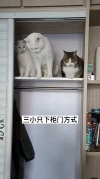 三小只下柜门方式  