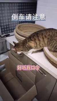 来听我口令，倒车请注意  