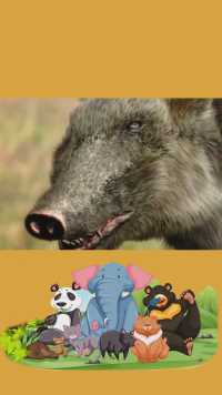 #远古生物 #神奇动物在  冰河时代最恐怖的五大猛兽，剑齿虎凭啥我第三#求一个神评加特 