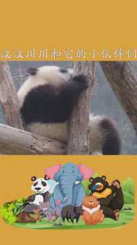 汶汶川川和它的小伙伴们 #大熊猫 #国宝熊猫 你看，这像不像赖床起不来的你#神评即是标题 
