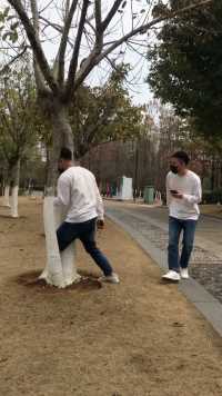 你知道多少个人进树里了吗？