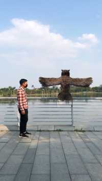 做人太复杂了，我想变成一只老鹰在天空自由自在的飞翔 