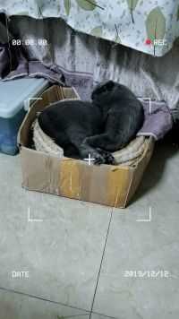 来微视，玩转互动视频。