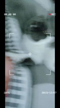 来微视，玩转互动视频。