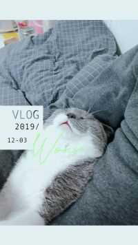 来微视，玩转互动视频。