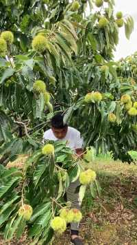 喜欢的朋友关注我