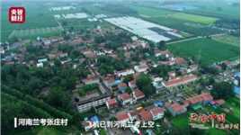 河南兰考泡桐长出致富路，兰考县GDP已增加至380亿，一起云瞰乡村巨变