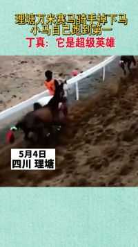 5月4日在四川理塘，在万米赛马过程中，一名骑手掉下马无人骑乘的小马自己跑到第一丁真表示：它是超级英