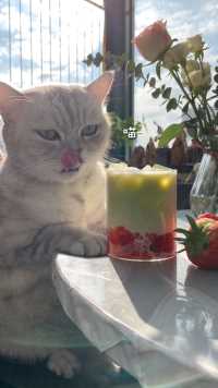 猫王：草莓除了红色，你还吃过什么颜色的草莓
