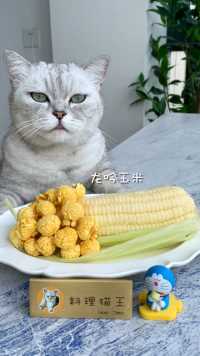 猫王：教你用玉米做个QQ弹弹的玉米