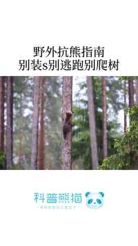 在野外遇到熊有效的逃生技巧，先排除爬树……  