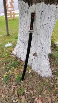 天下风云出我辈