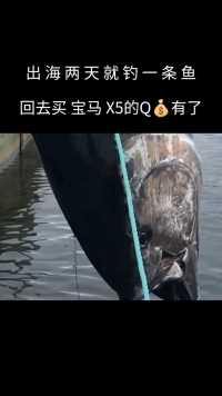 回到陆地买宝马X5的💰有了，出海两天就钓了一条！#深海垂钓