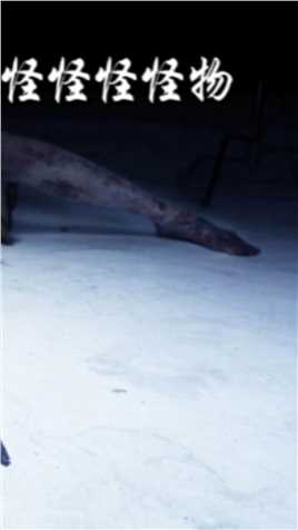 人心比怪物更可怕！#报告老师怪怪怪怪物 