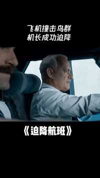 #迫降航班 飞机撞击鸟群，机长成功迫降
