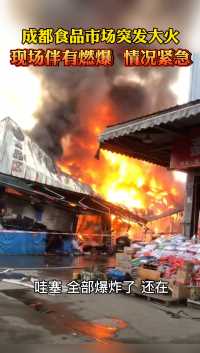3月27日，成都海霸王食品物流园突发大火，现场浓烟滚滚，情况危急，具体原因还在调查中