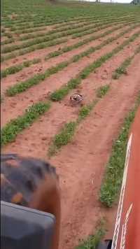 来微视，玩转互动视频。