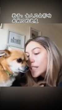 狗子:少招惹本少，想打疫苗直说