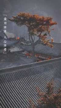 “岁月渐深，人心渐老 许多以前不曾相信的东西 现在都信了.”