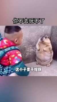 地鼠站起来那一声，绝了